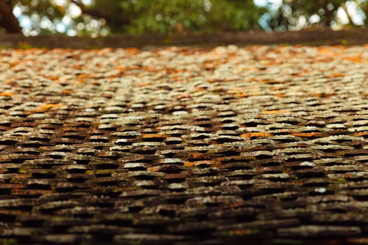 Aging shingle roof with moss growth and granule loss in Nacogdoches, TX